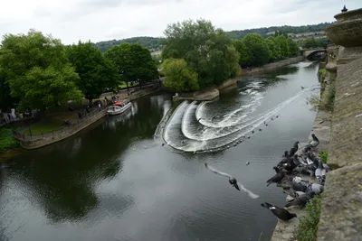 DSC_2558 (Large).JPG